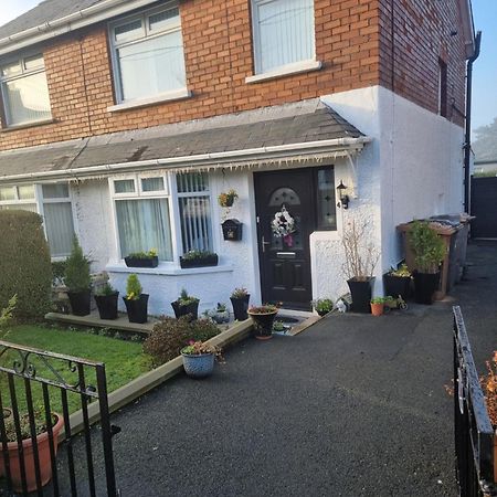 Breda Lodge Cosy Studio Space Belfast Exterior photo